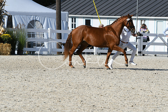 HSM_5068