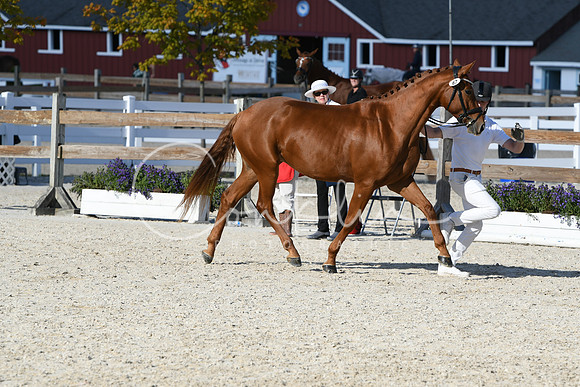 HSM_5073