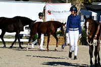 HSM_3446