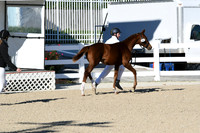 HSM_3462