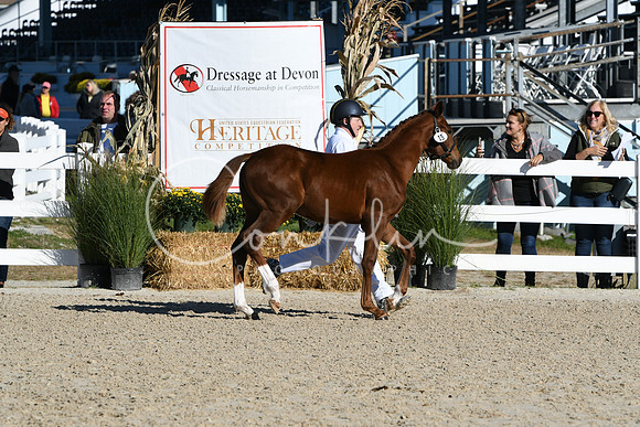 HSM_3468
