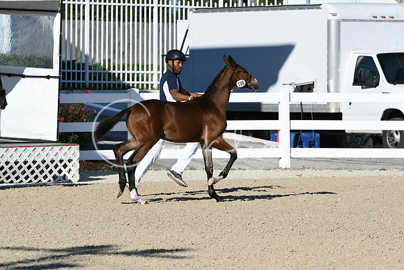 HSM_3449