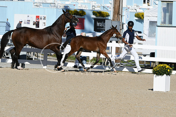 HSM_3455