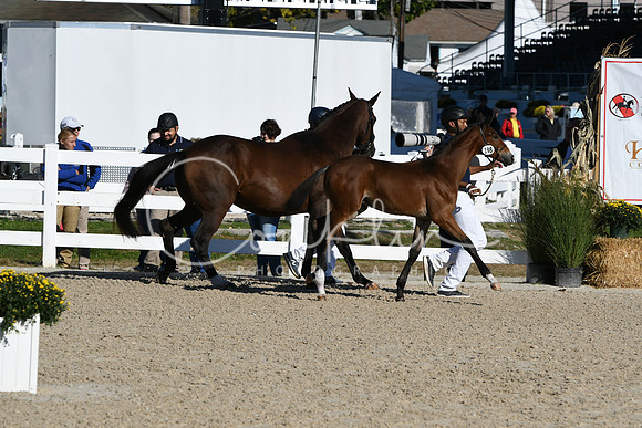 HSM_3457