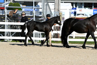 HSM_3448