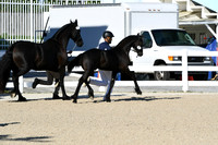 HSM_3473