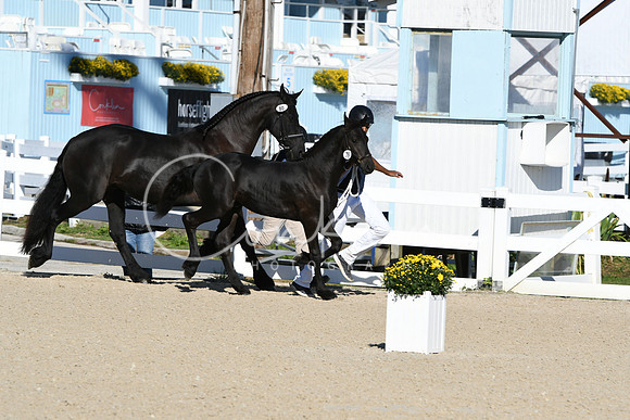 HSM_3478