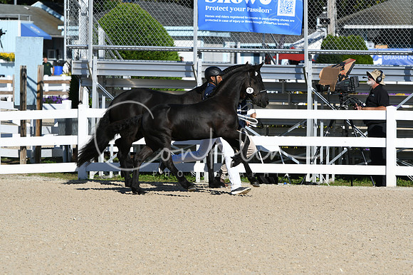 HSM_3480