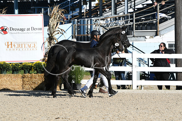 HSM_3483