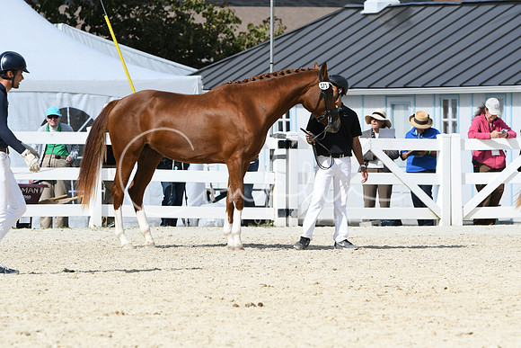 HSM_4959