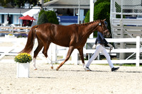 HSM_4952