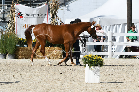 HSM_4950