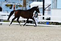 HSM_4975