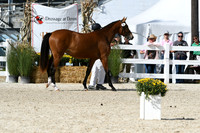 HSM_4956