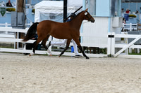 HSM_4967