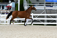 HSM_4970