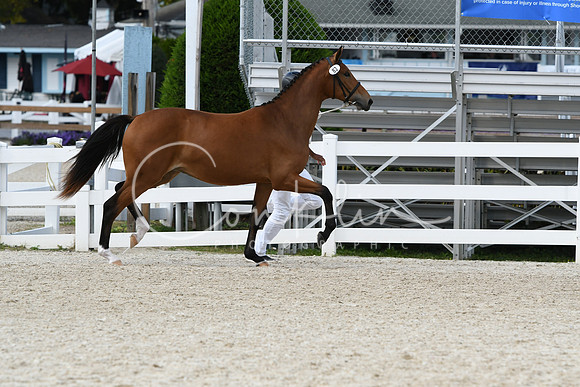 HSM_4970