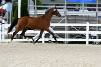 HSM_4971