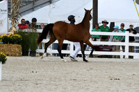 HSM_4974