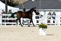 HSM_4966