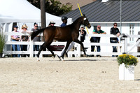 HSM_4964