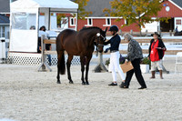 HSM_5336