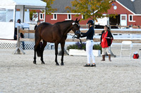 HSM_5337