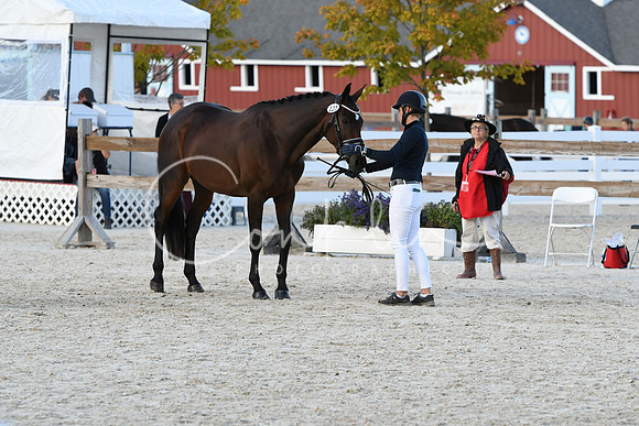 HSM_5337