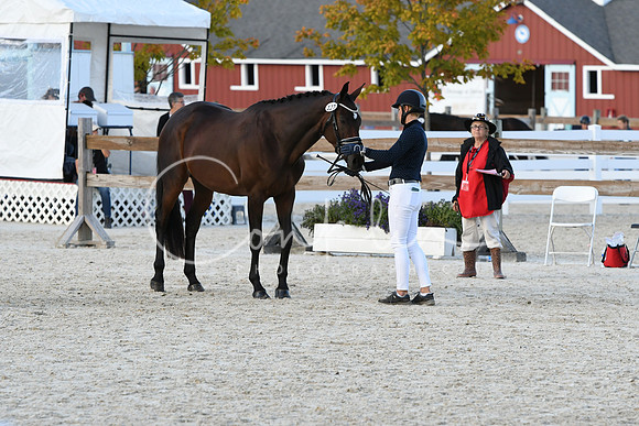 HSM_5338
