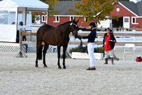 HSM_5339