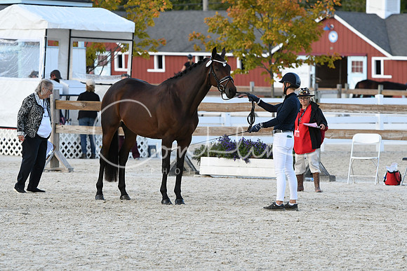HSM_5341