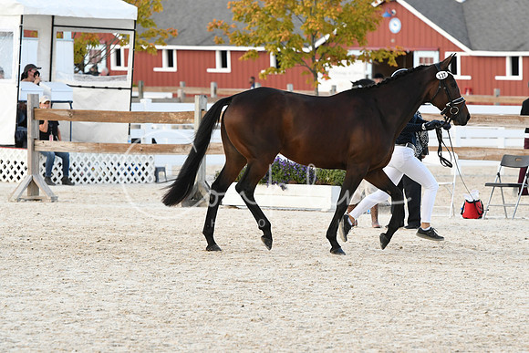 HSM_5358