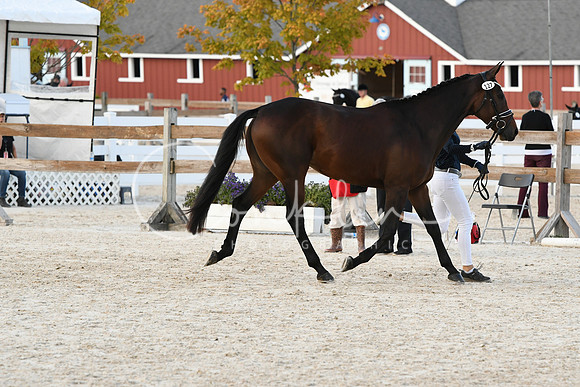 HSM_5359
