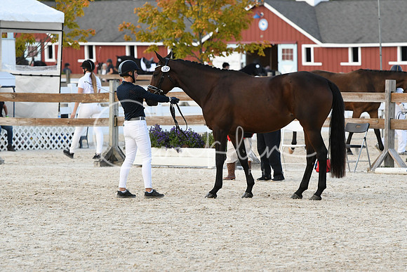 HSM_5361