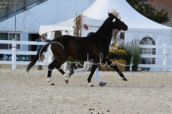 HSM_5227