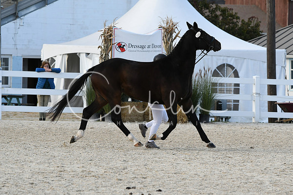 HSM_5228