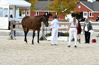 HSM_5369
