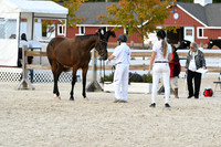 HSM_5370
