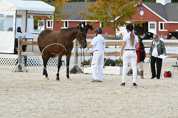 HSM_5370