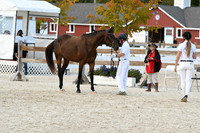 HSM_5372