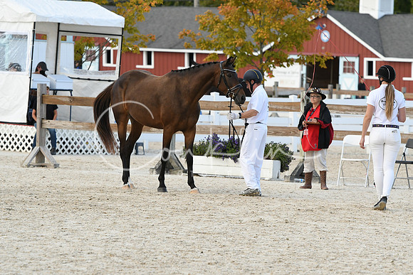 HSM_5372