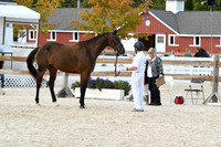 HSM_5373