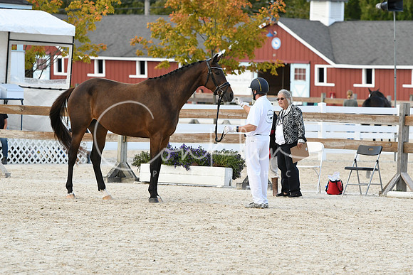 HSM_5373