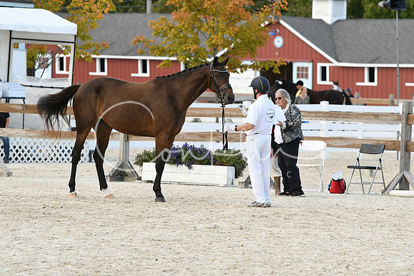 HSM_5376