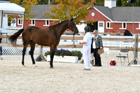 HSM_5374