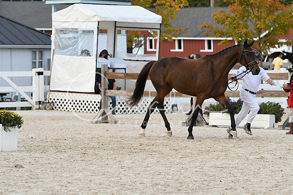 HSM_5393