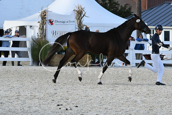 HSM_5320