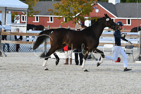 HSM_5321