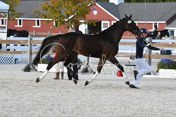 HSM_5322