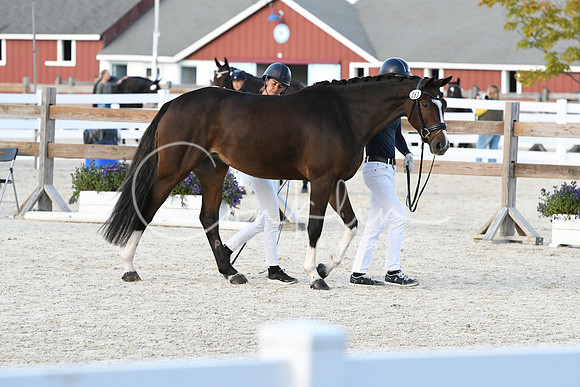 HSM_5331